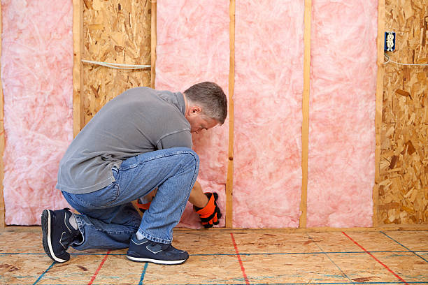 Best Commercial Insulation in Baxley, GA